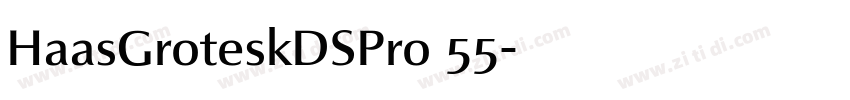 HaasGroteskDSPro 55字体转换